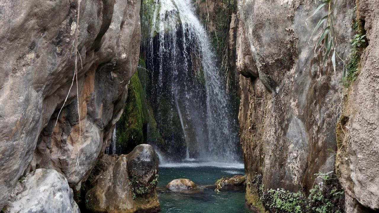 La Colina De Charly ξενώνας Benimantell Εξωτερικό φωτογραφία
